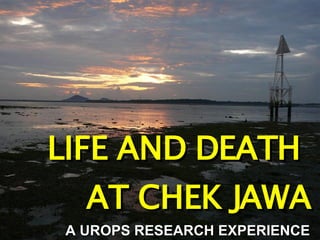 LIFE AND DEATH  AT CHEK JAWA A UROPS RESEARCH EXPERIENCE 