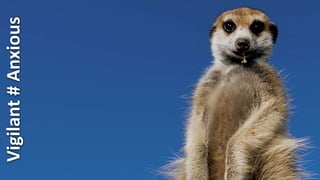 Vigilant # Anxious