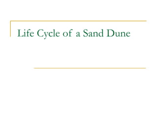 Life Cycle of a Sand Dune 