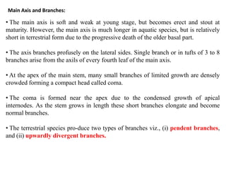 Main Axis and Branches:
• The main axis is soft and weak at young stage, but becomes erect and stout at
maturity. However, the main axis is much longer in aquatic species, but is relatively
short in terrestrial form due to the progressive death of the older basal part.
• The axis branches profusely on the lateral sides. Single branch or in tufts of 3 to 8
branches arise from the axils of every fourth leaf of the main axis.
• At the apex of the main stem, many small branches of limited growth are densely
crowded forming a compact head called coma.
• The coma is formed near the apex due to the condensed growth of apical
internodes. As the stem grows in length these short branches elongate and become
normal branches.
• The terrestrial species pro-duce two types of branches viz., (i) pendent branches,
and (ii) upwardly divergent branches.
 