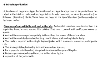 II. Sexual Reproduction:
• It is advanced oogamous type. Antheridia and archegonia are produced in special branches
called antheridial or male and archegonial or female branches, in same (monoecious) or
different (dioecious) plants. These branches occur at the tip of the stem (in the coma) or at
the lower nodes.
• Structure of antheridial branch and antheridia: Antheridial branches are shorter than the
vegetative branches and appear like catkins. They are covered with red/brown coloured
leaves.
 Antheridia are arranged acropetally in the axils of the leaves of these branches.
 Antheridia are club shaped with a long, multicellular stalk and a globular body.
 The body is covered with a single layered jacket which surrounds numerous androgonial
cells.
 The androgonial cells develop into antherozoids or sperms.
 Each sperm is spirally coiled, elongated structure with a pair of flagella.
 Mature sperms are released from the antheridium by the
separation of the jacket cells.
 