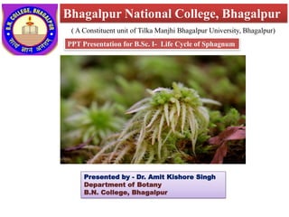 Bhagalpur National College, Bhagalpur
( A Constituent unit of Tilka Manjhi Bhagalpur University, Bhagalpur)
PPT Presentation for B.Sc. I- Life Cycle of Sphagnum
Presented by - Dr. Amit Kishore Singh
Department of Botany
B.N. College, Bhagalpur
 