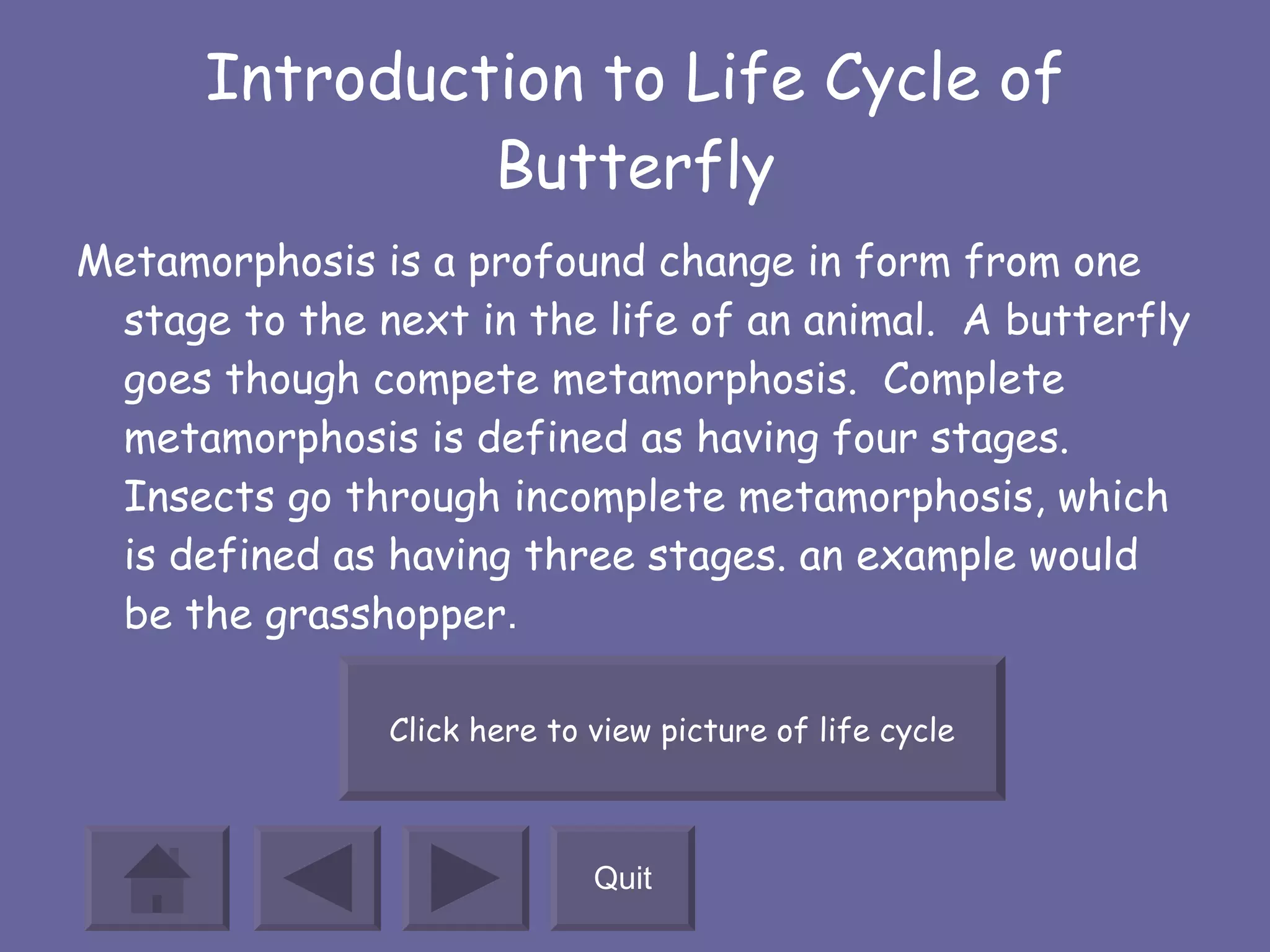 Life Cycle Of The Butterfly | PPT