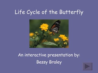Life Cycle of the Butterfly An interactive presentation by: Bessy Braley 