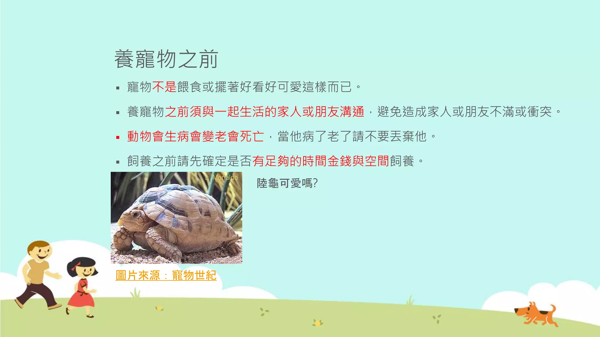 養寵物之前
 寵物不是餵食或擺著好看好可愛這樣而已。
 養寵物之前須與一起生活的家人或朋友溝通，避免造成家人或朋友不滿或衝突。
 動物會生病會變老會死亡，當他病了老了請不要丟棄他。
 飼養之前請先確定是否有足夠的時間金錢與空間飼養。
陸龜可愛嗎?
圖片來源：寵物世紀
 