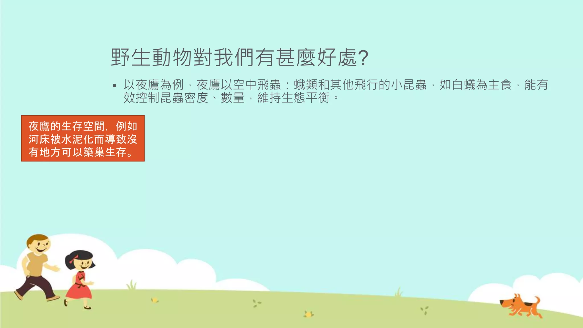 野生動物對我們有甚麼好處?
 以夜鷹為例，夜鷹以空中飛蟲：蛾類和其他飛行的小昆蟲，如白蟻為主食，能有
效控制昆蟲密度、數量，維持生態平衡。
夜鷹的生存空間，例如
河床被水泥化而導致沒
有地方可以築巢生存。
 