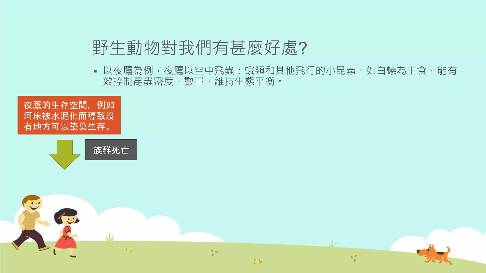 野生動物對我們有甚麼好處?
 以夜鷹為例，夜鷹以空中飛蟲：蛾類和其他飛行的小昆蟲，如白蟻為主食，能有
效控制昆蟲密度、數量，維持生態平衡。
夜鷹的生存空間，例如
河床被水泥化而導致沒
有地方可以築巢生存。
族群死亡
 