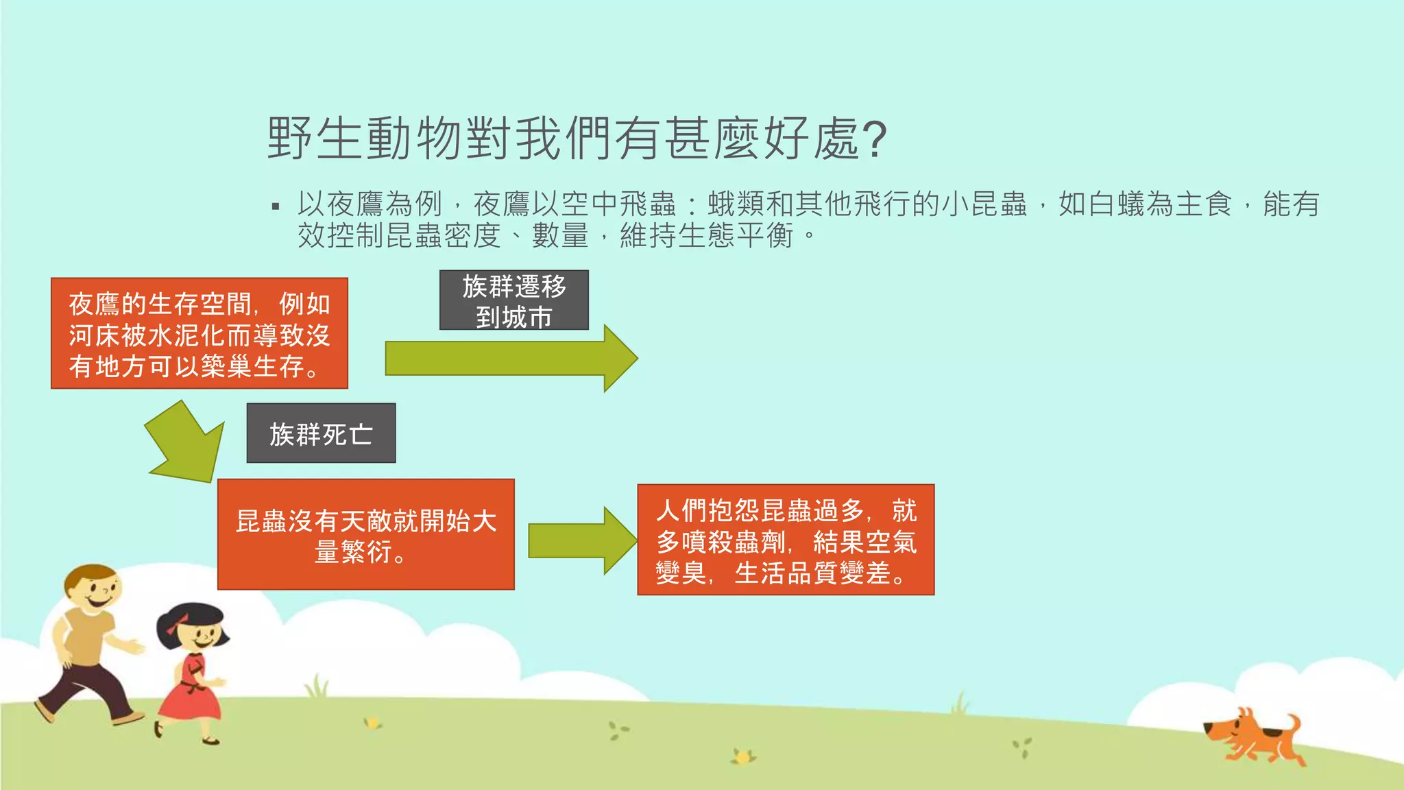 野生動物對我們有甚麼好處?
 以夜鷹為例，夜鷹以空中飛蟲：蛾類和其他飛行的小昆蟲，如白蟻為主食，能有
效控制昆蟲密度、數量，維持生態平衡。
夜鷹的生存空間，例如
河床被水泥化而導致沒
有地方可以築巢生存。
族群死亡
昆蟲沒有天敵就開始大
量繁衍。
人們抱怨昆蟲過多，就
多噴殺蟲劑，結果空氣
變臭，生活品質變差。
族群遷移
到城市
 