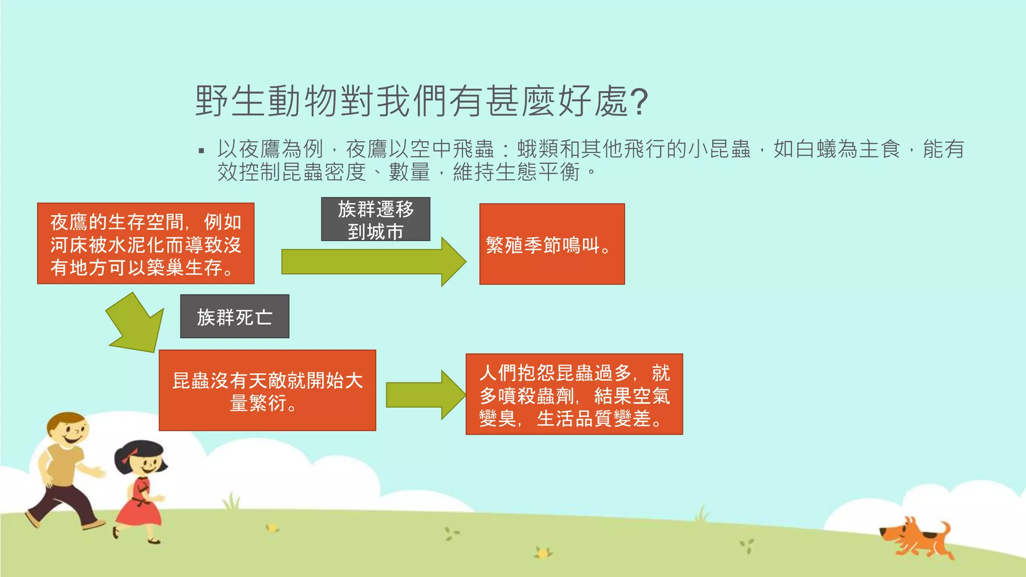 野生動物對我們有甚麼好處?
 以夜鷹為例，夜鷹以空中飛蟲：蛾類和其他飛行的小昆蟲，如白蟻為主食，能有
效控制昆蟲密度、數量，維持生態平衡。
夜鷹的生存空間，例如
河床被水泥化而導致沒
有地方可以築巢生存。
族群死亡
昆蟲沒有天敵就開始大
量繁衍。
人們抱怨昆蟲過多，就
多噴殺蟲劑，結果空氣
變臭，生活品質變差。
族群遷移
到城市
繁殖季節鳴叫。
 