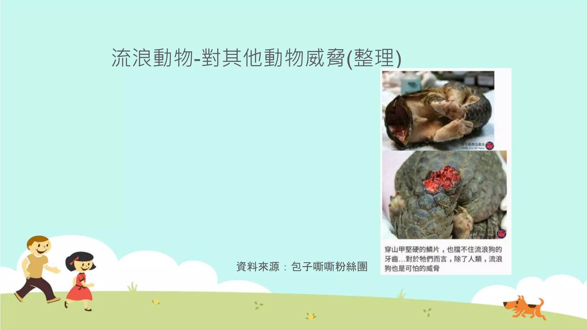 流浪動物-對其他動物威脅(整理)
資料來源：包子嘶嘶粉絲團
 