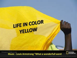 Music - Louis Armstrong “What a wonderfull word 