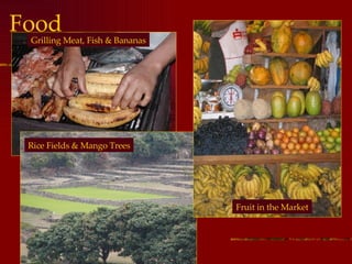Food Rice Fields & Mango Trees Fruit in the Market Grilling Meat, Fish & Bananas 