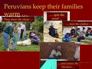 Peruvians keep their families warm …   They shear the sheep … …  spin the wool … …  knit the clothes … … and weave the blankets… 