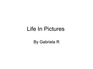 Life In Pictures  By Gabriela R 