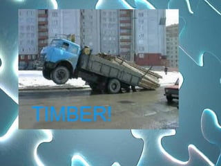 TIMBER! 