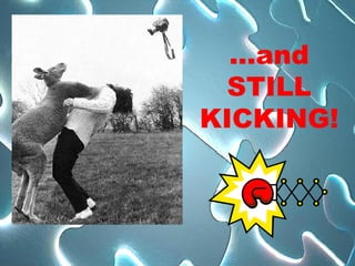 … and STILL KICKING! 