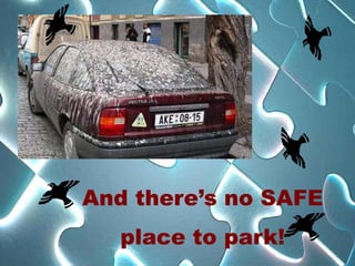 And there’s no SAFE
   place to park!
 