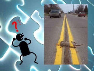 Life is-a-puzzle