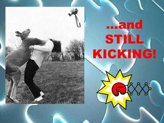 …aԻ
  STILL
KICKING!
 