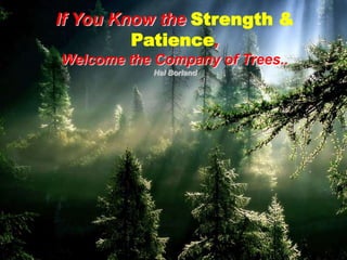 If You Know the Strength & Patience,Welcome the Company of Trees..Hal Borland
