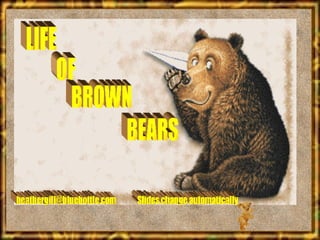 LIFE OF BROWN BEARS [email_address] Slides change automatically 