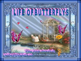 LIFE OF BUTTERFLYS [email_address] Slides change automatically 