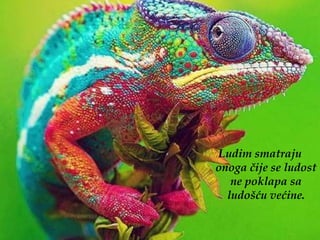 Ludim smatraju
onoga čije se ludost
   ne poklapa sa
  ludošću većine.
 