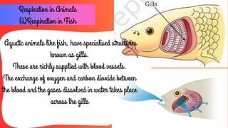 Life-Processes-in-Animals.pdf priyanshum | PDF