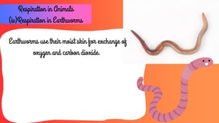 Life-Processes-in-Animals.pdf priyanshum | PDF