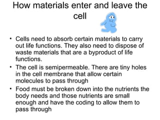 How materials enter and leave the cell Cells need to absorb certain materials to carry out life functions. They also need to dispose of waste materials that are a byproduct of life functions. The cell is semipermeable. There are tiny holes in the cell membrane that allow certain molecules to pass through Food must be broken down into the nutrients the body needs and those nutrients are small enough and have the coding to allow them to pass through