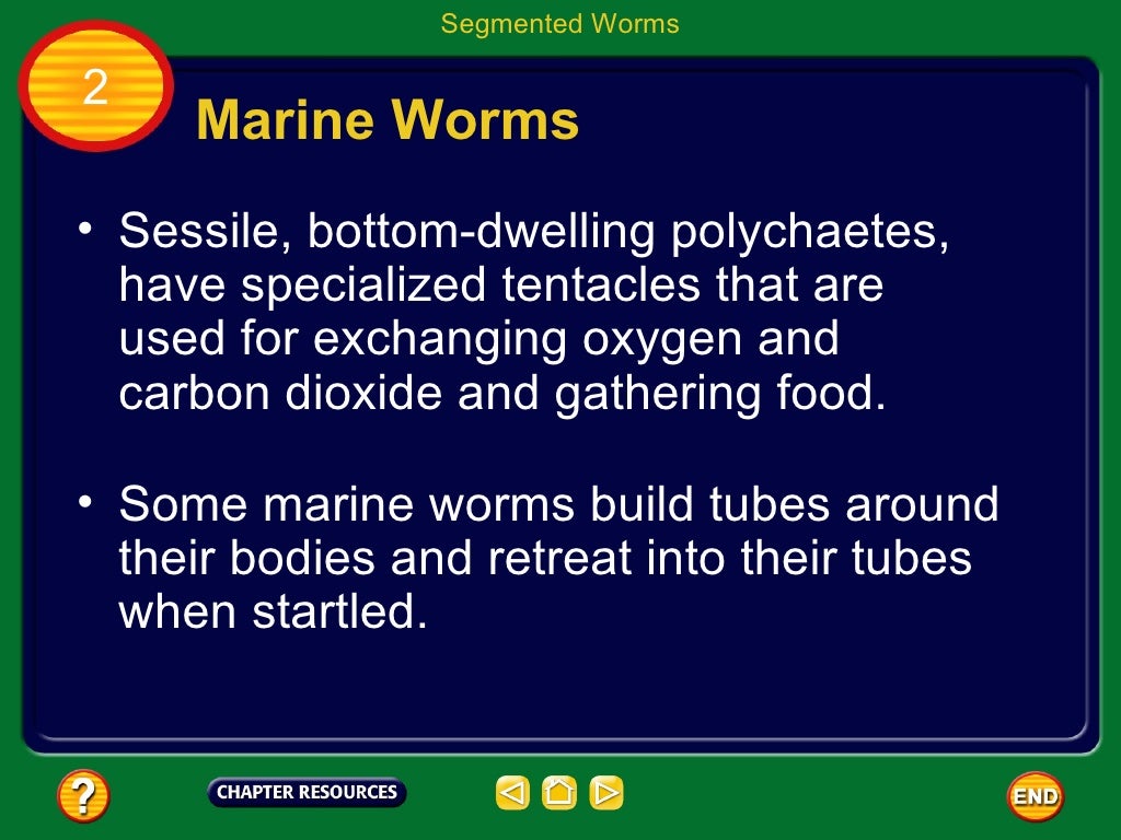Life Science Chapter 14