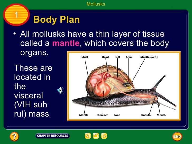 Life Science Chapter 14