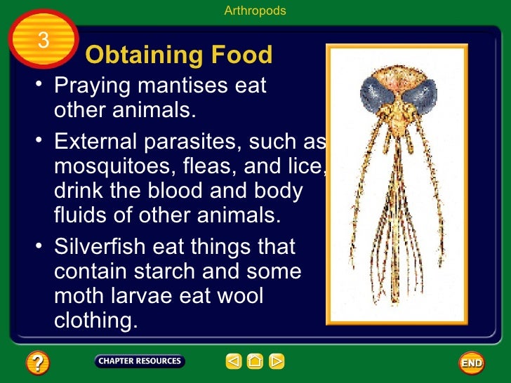 Life Science Chapter 14