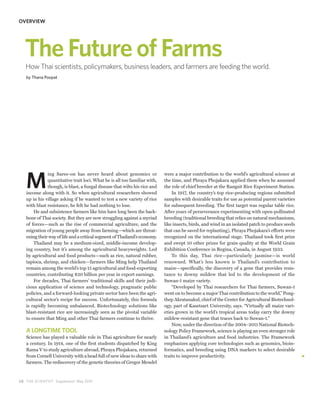 OVERVIEW




   The Future of Farms
   How Thai scientists, policymakers, business leaders, and farmers are feeding the world.
   by Thana Poopat




   M
               ing Saree-on has never heard about genomics or               were a major contribution to the world’s agricultural science at
               quantitative trait loci. What he is all too familiar with,   the time, and Phraya Phojakara applied them when he assumed
               though, is blast, a fungal disease that wilts his rice and   the role of chief breeder at the Rangsit Rice Experiment Station.
   income along with it. So when agricultural researchers showed                In 1917, the country’s top rice-producing regions submitted
   up in his village asking if he wanted to test a new variety of rice      samples with desirable traits for use as potential parent varieties
   with blast resistance, he felt he had nothing to lose.                   for subsequent breeding. The first target was regular table rice.
       He and subsistence farmers like him have long been the back-         After years of perseverance experimenting with open-pollinated
   bone of Thai society. But they are now struggling against a myriad       breeding (traditional breeding that relies on natural mechanisms,
   of forces—such as the rise of commercial agriculture, and the            like insects, birds, and wind in an isolated patch to produce seeds
   migration of young people away from farming—which are threat-            that can be saved for replanting), Phraya Phojakara’s efforts were
   ening their way of life and a critical segment of Thailand’s economy.    recognized on the international stage. Thailand took first prize
       Thailand may be a medium-sized, middle-income develop-               and swept 10 other prizes for grain quality at the World Grain
   ing country, but it’s among the agricultural heavyweights. Led           Exhibition Conference in Regina, Canada, in August 1933.
   by agricultural and food products—such as rice, natural rubber,              To this day, Thai rice—particularly jasmine—is world
   tapioca, shrimp, and chicken—farmers like Ming help Thailand             renowned. What’s less known is Thailand’s contribution to
   remain among the world’s top 15 agricultural and food-exporting          maize—specifically, the discovery of a gene that provides resis-
   countries, contributing $20 billion per year in export earnings.         tance to downy mildew that led to the development of the
       For decades, Thai farmers’ traditional skills and their judi-        Suwan-1 maize variety.
   cious application of science and technology, pragmatic public                “Developed by Thai researchers for Thai farmers, Suwan-1
   policies, and a forward-looking private sector have been the agri-       went on to become a major Thai contribution to the world,” Pong-
   cultural sector’s recipe for success. Unfortunately, this formula        thep Akratanakul, chief of the Center for Agricultural Biotechnol-
   is rapidly becoming unbalanced. Biotechnology solutions like             ogy, part of Kasetsart University, says. “Virtually all maize vari-
   blast-resistant rice are increasingly seen as the pivotal variable       eties grown in the world’s tropical areas today carry the downy
   to ensure that Ming and other Thai farmers continue to thrive.           mildew-resistant gene that traces back to Suwan-1.”
                                                                                Now, under the direction of the 2004–2011 National Biotech-
   A LONGTIME TOOL                                                          nology Policy Framework, science is playing an even stronger role
   Science has played a valuable role in Thai agriculture for nearly        in Thailand’s agriculture and food industries. The Framework
   a century. In 1914, one of the first students dispatched by King         emphasizes applying core technologies such as genomics, bioin-
   Rama V to study agriculture abroad, Phraya Phojakara, returned           formatics, and breeding using DNA markers to select desirable
   from Cornell University with a head full of new ideas to share with      traits to improve productivity.
   farmers. The rediscovery of the genetic theories of Gregor Mendel



3 8 THE SCIENTIST Supplement May 2010
 