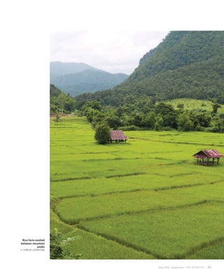 Rice farm nestled
between mountain
            peaks
© SARUN LAOWONG




                     May 2010 Supplement THE SCIENTIST   39
 