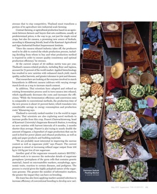 stresses that to stay competitive, Thailand must transform a
portion of its agriculture into industrial-scale farming.
    Contract farming, or agricultural production based on an agree-
ment between farmers and buyers that sets conditions, usually at
predetermined prices, is the way to go, not just for staple cereal
crops, but also for cassava, a promising new source of biofuels,
according to Klanarong Sriroth, head of the Kasetsart Agricultural
and Agro-Industrial Product Improvement Institute.
    “Once the cassava ethanol industry takes off, the producers
need to be able to control the whole production process, includ-
ing deciding from whom to buy and what production method
is required in order to ensure quality consistency and optimal
production efficiency,” he stresses.
    At the current output of 30 million metric tons per year,
Thailand’s cassava-related products, including flour and tapioca,
account for 75 percent of the world market. Applied biotechnology
has resulted in new varieties with enhanced starch yield, starch
quality, earlier harvests, and greater tolerance to pest and diseases.
    Thai researchers are looking at the enzymes involved in starch
biosynthesis in different cassava cultivars with varying storage
starch levels as a way to increase starch content.
    In addition, Thai scientists have adapted and refined an
existing fermentation process used to turn cassava into ethanol,
which significantly decreases the costs and increases the effi-
ciency. “While the fermentation efficiency and conversion ratio
is comparable to conventional methods, the production time of
the new process is about 25 percent faster, which translates into
considerable savings in energy consumption and production
costs,” Klanarong says.
    Thailand is currently ranked number 2 in the world in sugar
exports; Thai scientists are also exploring novel methods to
increase profits from this crop. Prasert Chatwachirawong, head
of Kasetsart University’s Sugarcane Research Station, is working
on new varieties with harvest intervals of 8 months, 2 months
shorter than average. Prasert is also trying to nearly double the
amount of bagasse, a byproduct of sugar production that can be
used in feed for power plants and ethanol production, as well as
pulp and paper products and building materials.
    “We are probably most interested in improving the sucrose
content as well as sugarcane yield,” says Prasert. The current
program is aimed at increasing refined sugar output from 106
kg to 130 kg per ton of raw sugarcane.
    Another goal of the sugarcane research station’s BIOTEC-
funded work is to uncover the molecular details of sugarcane
germplasm (protoplasm of the germ cells that contains genetic
material), based on microsatellite markers, morphology, agro-
nomic traits, reaction to certain diseases, and pedigrees. The
process is crucial given the highly polyploid nature of the sugar-
                                                                         Damnoen Saduak
cane genome. The greater the number of informative markers,               Floating Market
the greater the impact they can have on breeding.                         © DAVID JOYNER
    His team has also been applying marker-assisted selection to
increase efficiency of conventional breeding to develop new vari-

                                                                                            May 2010 Supplement THE SCIENTIST   43
 