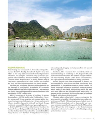 Shrimp Farm, Sam
                                                                                                                    Roi Yot National Park




RESEARCH LEADERS                                                     into shrimp cells, dropping mortality rates from 100 percent
Biotechnology has been at work in Thailand’s shrimp indus-           down to 15 percent.
try since the 1980s. Notably, the outbreak of yellow-head virus          Combined, Thai researchers have secured 15 patents on
(YHV) in the early 1990s dramatically reduced production             shrimp technology on such things as diet, diagnostic kits, and
nationwide, and prompted scientists to ramp up research pro-         wastewater treatment systems that can treat nitrogen and facili-
grams to better understand the species. In 1996, Chulalongkorn       tate water recycling. Only the United States, European Union,
University started the genetic work on shrimp, with the study of     and Japan have more patents related to shrimp aquaculture.
DNA of black tiger shrimp in the Gulf of Thailand and Andaman            But not everyone views such developments as positive. Too
Sea, along with their migration patterns and mating behavior.        much emphasis is being placed on black tiger shrimp, says
    The same year, biologists at Mahidol University produced the     Sathit Panich, an independent supplier to shrimp farmers. “In
first diagnostic kit to test for YHV by employing PCR to magnify     future, shrimp will become an increasingly important protein
the viral DNA up to one billion times. Last year, a less expensive   source worldwide and Pacific White Shrimp can fill that need
and simpler diagnostic kit emerged that uses loop-mediated DNA       more easily, at less cost, and utilizing less land,” asserts Sathit. He
amplification (LAMP) and gel strips.                                 wants to see the government develop products and technologies
    BIOTEC researchers at the Center of Excellence for Marine        for Pacific White shrimp farmers as well.
Biotechnology, a BIOTEC satellite lab at Chulalongkorn Univer-           Morakot acknowledges Sathit’s concern, noting that the
sity, have recently begun extracting and commercializing hor-        government is not avoiding efforts that might improve the com-
mones from sea worms (Polychaetes) as a dietary supplement to        petitiveness of Pacific White shrimp farmers. Indeed, most of
enhance gonad development in both male and female shrimp,            BIOTEC shrimp technologies such as diagnosis kits and waste-
resulting in more rapid fertilization and spawning frequency.        water treatment can and are being used for Pacific White shrimp
    In 2007, BIOTEC researchers at the Center of Excellence for      farms. “It’s just that in the long run, we feel the industry as a
Shrimp Molecular Biology and Biotechnology (Centex Shrimp),          whole will benefit most by leading the world in black tiger shrimp
based at Mahidol University, isolated the protein PmRab7 in          production,” she asserts.
shrimp that can block the White Spot Syndrome Virus’s entry



                                                                                                       May 2010 Supplement THE SCIENTIST       49
 