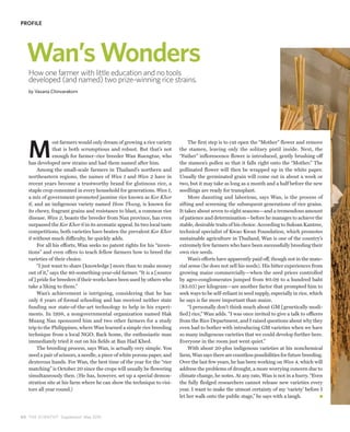 PROFILE




  Wan’s Wonders
   How one farmer with little education and no tools
   developed (and named) two prize-winning rice strains.
   by Vasana Chinvarakorn




   M
                ost farmers would only dream of growing a rice variety          The first step is to cut open the “Mother” flower and remove
                that is both scrumptious and robust. But that’s not        the stamen, leaving only the solitary pistil inside. Next, the
                enough for farmer–rice breeder Wan Ruengtue, who           “Father” inflorescence flower is introduced, gently brushing off
   has developed new strains and had them named after him.                 the stamen’s pollen so that it falls right onto the “Mother.” The
        Among the small-scale farmers in Thailand’s northern and           pollinated flower will then be wrapped up in the white paper.
   northeastern regions, the names of Wan 1 and Wan 2 have in              Usually the germinated grain will come out in about a week or
   recent years become a trustworthy brand for glutinous rice, a           two, but it may take as long as a month and a half before the new
   staple crop consumed in every household for generations. Wan 1,         seedlings are ready for transplant.
   a mix of government-promoted jasmine rice known as Kor Khor                  More daunting and laborious, says Wan, is the process of
   6, and an indigenous variety named Hom Thung, is known for              sifting and screening the subsequent generations of rice grains.
   its chewy, fragrant grains and resistance to blast, a common rice       It takes about seven to eight seasons—and a tremendous amount
   disease. Wan 2, boasts the breeder from Nan province, has even          of patience and determination—before he manages to achieve the
   surpassed the Kor Khor 6 in its aromatic appeal. In two local taste     stable, desirable traits of his choice. According to Suksan Kantree,
   competitions, both varieties have beaten the prevalent Kor Khor         technical specialist of Kwao Kwan Foundation, which promotes
   6 without much difficulty, he quickly adds.                             sustainable agriculture in Thailand, Wan is one of the country’s
        For all his efforts, Wan seeks no patent rights for his “inven-    extremely few farmers who have been successfully breeding their
   tions” and even offers to teach fellow farmers how to breed the         own rice seeds.
   varieties of their choice.                                                   Wan’s efforts have apparently paid off, though not in the mate-
        “I just want to share [knowledge] more than to make money          rial sense (he does not sell his seeds). His bitter experiences from
   out of it,” says the 40-something-year-old farmer. “It is a [source     growing maize commercially—when the seed prices controlled
   of ] pride for breeders if their works have been used by others who     by agro-conglomerates jumped from $0.09 to a hundred baht
   take a liking to them.”                                                 ($3.03) per kilogram—are another factor that prompted him to
        Wan’s achievement is intriguing, considering that he has           seek ways to be self-reliant in seed supply, especially in rice, which
   only 6 years of formal schooling and has received neither state         he says is far more important than maize.
   funding nor state-of-the-art technology to help in his experi-               “I personally don’t think much about GM [genetically modi-
   ments. In 1998, a nongovernmental organization named Hak                fied] rice,” Wan adds. “I was once invited to give a talk to officers
   Muang Nan sponsored him and two other farmers for a study               from the Rice Department, and I raised questions about why they
   trip to the Philippines, where Wan learned a simple rice breeding       even had to bother with introducing GM varieties when we have
   technique from a local NGO. Back home, the enthusiastic man             so many indigenous varieties that we could develop further here.
   immediately tried it out on his fields at Ban Had Khed.                 Everyone in the room just went quiet.”
        The breeding process, says Wan, is actually very simple. You            With about 20-plus indigenous varieties at his nonchemical
   need a pair of scissors, a needle, a piece of white porous paper, and   farm, Wan says there are countless possibilities for future breeding.
   dexterous hands. For Wan, the best time of the year for the “rice       Over the last few years, he has been working on Wan 4, which will
   matching” is October 20 since the crops will usually be flowering       address the problems of drought, a more worrying concern due to
   simultaneously then. (He has, however, set up a special demon-          climate change, he notes. At any rate, Wan is not in a hurry. “Even
   stration site at his farm where he can show the technique to visi-      the fully fledged researchers cannot release new varieties every
   tors all year round.)                                                   year. I want to make the utmost certainty of my ‘variety’ before I
                                                                           let her walk onto the public stage,” he says with a laugh.



5 0 THE SCIENTIST Supplement May 2010
 