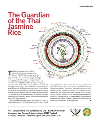 SPONSOR PROFILE




The Guardian
of the Thai
Jasmine
Rice




T
        hailand’s participation in the Inter-
        national Rice Genome Sequencing
        Project (IRGSP) has brought genomic
                                   ought
innovation into rice breeding. To drive Thailand
further into the post-genomic era, the Rice Gene Dis-
                                  a,
covery (RGD) Unit was established in April 2001, a col-
laboration between NSTDA and Kasetsart University (KU);
seven years later, the Rice Science Center, KU’s research network   cant implication for the country’s rice breeding programs and
at Kamphangsaen campus, was established. The ultimate goal of       genetic conservation. Now, rice breeders can make a “cosmetic”
the twin centers is bridging functional genomics and rice breed-    improvement of Thai Jasmine rice without disturbing the supe-
ing. We start from genetic map position to map-based cloning        rior grain quality. Even more ambitious is to recombine all kinds
in order to design the most efficient marker-assisted selection.    of resistance into the so-called “Super Jasmine”. We are re-engi-
The highlight is the map-based cloning of aromatic gene from        neering the new aromatic rice to become more nutritious, in
Jasmine rice that eventually became the universal aromatic gene     trend with the new lifestyle of modern society. The innovative
of the entire plant kingdom.                                        rice strains will support Thailand’s rice industry from grassroots
    The technology has been granted a US patent to protect its      to the competitiveness of the global market.
intellectual property. The breakthrough discovery has a signifi-




Rice Science Center & Rice Gene Discovery Unit | Kasetsart University
Kamphaengsaen Campus | Nakhonpathom, 73140 Thailand
T: +66 (0) 3435 5193 | vanavichit@gmail.com | dna.kps.ku.ac.th
 