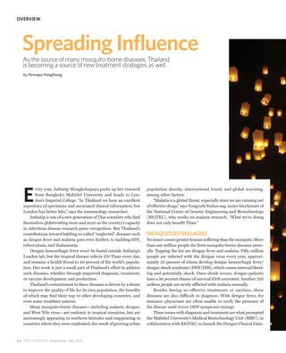 OVERVIEW




   Spreading Influence
   As the source of many mosquito-borne diseases, Thailand
   is becoming a source of new treatment strategies as well.
   by Pennapa Hongthong




   E
          very year, Juthatip Mongkolsapaya packs up her research        population density, international travel, and global warming,
          from Bangkok’s Mahidol University and heads to Lon-            among other factors.
          don’s Imperial College. “In Thailand we have an excellent          “Malaria is a global threat, especially since we are running out
   repository of specimens and associated clinical information, but      of effective drugs,” says Yongyuth Yuthavong, senior biochemist of
   London has better labs,” says the immunology researcher.              the National Center of Genetic Engineering and Biotechnology
       Juthatip is one of a new generation of Thai scientists who find   (BIOTEC), who works on malaria research. “What we’re doing
   themselves globetrotting more and more as the country’s capacity      does not only benefit Thais.”
   in infectious disease research gains recognition. But Thailand’s
   contributions toward battling so-called “neglected” diseases such     MOSQUITOES MALADIES
   as dengue fever and malaria goes even further, to tackling HIV,       No insect causes greater human suffering than the mosquito. More
   tuberculosis, and thalassemia.                                        than one million people die from mosquito-borne diseases annu-
       Dengue hemorrhagic fever won’t be found outside Juthatip’s        ally. Topping the list are dengue fever and malaria. Fifty million
   London lab, but the tropical disease infects 170 Thais every day,     people are infected with the dengue virus every year, approxi-
   and remains a health threat to 40 percent of the world’s popula-      mately 20 percent of whom develop dengue hemorrhagic fever/
   tion. Her work is just a small part of Thailand’s effort to address   dengue shock syndrome (DHF/DSS), which causes internal bleed-
   such diseases, whether through improved diagnosis, treatment,         ing and potentially shock. Once shock occurs, dengue patients
   or vaccine development and production.                                have a 50 percent chance of survival if left untreated. Another 250
       Thailand’s commitment to these diseases is driven by a desire     million people are newly afflicted with malaria annually.
   to improve the quality of life for its own population, the benefits       Besides having no effective treatments or vaccines, these
   of which may find their way to other developing countries, and        diseases are also difficult to diagnose. With dengue fever, for
   even some wealthier nations.                                          instance, physicians are often unable to verify the presence of
       Many mosquito-borne diseases—including malaria, dengue,           the disease until severe DHF symptoms emerge.
   and West Nile virus—are endemic to tropical countries, but are            These issues with diagnosis and treatment are what prompted
   increasingly appearing in northern latitudes and reappearing in       the Mahidol University’s Medical Biotechnology Unit (MBU), in
   countries where they were eradicated, the result of growing urban     collaboration with BIOTEC, to launch the Dengue Clinical Data-



6 0 THE SCIENTIST Supplement May 2010
 