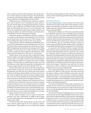 nates a growing network of field biologists who operate long-         than they are [with] graphs and charts. For better or worse, they
term research stations and share their data with his Biodiver-        need to see these kinds of impacts before they will feel compelled
sity Research and Training Program (BRT), established jointly         to act,” he says.
between BIOTEC and Thailand Research Fund (TRF).
     Phillip Round, one of Thailand’s most prominent ornitholo-       BIOMASS BREAKS
gists, says he started to sense something was amiss nearly 25         By 2022, Thailand plans to meet 14 percent of its total energy
years ago when he began monitoring Siamese firebacks (Lophura         demand with renewable energy. Much of this transition is antici-
diardi), a type of pheasant, at Thailand’s oldest national park,      pated to come through converting the county’s extensive amounts
Khao Yai. Historically, the birds were never found above 700          of fibrous biomass materials from its agriculture sector into elec-
meters, but gradually they began living at higher altitudes, and      tricity and liquid biofuels.
now they are seldom seen below 800 meters, says Round, who is              More than 60 million tons of biomass is generated annually
with Mahidol University’s Department of Biology.                      from Thailand’s agriculture sector, especially sugarcane bagasse,
     Temperature gauges surrounding the park have recorded a          rice straw, corn stover, and cassava pulp. While about one-third
2ºC increase in the minimum mean temperature over that same           is used for fertilizers, animal feed, and construction material, the
period, Round adds. He has observed no other changes in the           remainder offers the theoretical equivalent of 70 million barrels
species’ habitat that might account for their move upward.            of crude oil. While Thai scientists do not expect ever to reach that
     Chutiorn Savinee, another ornithologist with Mahidol Univer-     level of efficiency, they are nonetheless working to squeeze as
sity, has been studying the rare great hornbill (Buceros bicornis)    much energy as possible from this valuable resource, especially as
and suspects that warming temperatures at Khao Yai are respon-        its natural decomposition adds to atmospheric CO2 concentration.
sible for lengthening the incubation and rearing periods for fledg-        In conjunction with Thailand’s efforts to support self-suffi-
ling birds. “It’s grown from 120 to about 140 days now, largely,      cient economies at the community level, ethanol production from
we believe, because their food supply has diminished due to the       local agricultural byproducts has been promoted. The concept
warmer and drier climate here,” she states in a recent report.        for community ethanol is based on small-scale production of
     Another species in the park that may be affected by chang-       ethanol from local lignocellulosic feedstock with onsite-produced
ing food supplies is the white-handed gibbon (Hylobates lar). In      enzymes for reducing the cost of transporting bulky biomass. The
a recent report to the BRT, researchers noted that distribution       ethanol will then be partially concentrated and transported to
of wild rambutan (Nephelium maingayi) has moved to higher             ethanol plants for upgrading to high-grade biofuel. Researchers
latitudes. “This fruit plant is usually found in shady areas with     at BIOTEC have developed an enhanced method for ethanol pro-
cool climates, so they might be escaping the increasing heat and      duction from bagasse—the leftover cane stalk after the sucrose
stronger sunlight exposure in the lower altitude,” Visut says.        is pressed out—that is as efficient as conventional processes, but
     Round suspects that solar heat may also affect regeneration      simpler and more environmentally friendly.
of plant species in Khao Yai. At the same research field where             First, simple ball milling is used in a pretreatment process
the pheasants were observed, the research team found reduced          to increase the efficiency of the enzymes used when converting
numbers of wild plant saplings. Within a 10-hectare observation       the bagasse cellulose and hemicelluloses into sugars. Second,
area, of the 143 gambir trees, only seven had new saplings nearby.    the biomass hydrolysis—the conversion of cellulose and hemi-
The coral trees of the Erythrina genus and Sapium baccatum            celluloses into sugar—is performed with enzymes produced from
Roxb. demonstrate similar patterns of sapling reduction.              selected microbial strains from BIOTEC’s culture collection with
     Closer to the equator, changes are also being observed in one    a simple fermentation process, reinforcing local biodiversity pro-
of Thailand’s rare cloud forests. Visut says the forest’s moisture    tection for biotechnology purposes.
content is declining, so he is now funding researchers to establish        “Conventional fermentation process only converts glucose to
monitoring stations to better document the changes. Researchers       ethanol, but ours results in more ethanol obtained, because we
in Malaysia and Indonesia have been reporting declining mois-         use Thai-isolated yeast strains that can utilize both glucose and
ture content in their cloud forests for more than a decade. Glob-     xylose,” says Lily Eurwilaichitr, Director of Bioresources Technol-
ally, cloud forests are seen as important bioindicators, and many     ogy Unit at BIOTEC.
are targets of international conservation efforts.                         The most interesting and challenging aspect is the screening
     “All the evidence coming in seems to point to rising tem-        and production of active lignocellulolytic enzymes from micro-
peratures,” says Visut. “Individually, we might be able to argue      bial strains for efficient hydrolysis of local biomass. Although the
away the relationships, but in the aggregate, the cause and effect    locally made enzyme is not much better than the commercially
appears rather stark.”                                                available enzyme, a concept of onsite enzyme production that
     He believes that further documentation of such trends will       uses local fungal isolates and inexpensive agroindustrial wastes
help accelerate public support for more aggressive climate-           as substrates for enzyme production makes this new process eco-
change policies. “Thai people are more concerned with animals         nomically attractive, says Lily. The on-site enzyme production

                                                                                                       May 2010 Supplement THE SCIENTIST     81
 