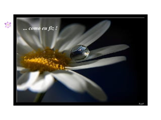 ... como eu fiz ! 