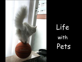 Life  with   Pets 