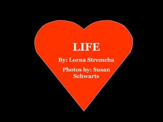 LIFE
By: Lorna Stremcha
 Photos by: Susan
    Schwarts
 