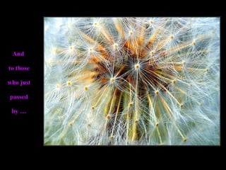 And  to those who just passed by … 