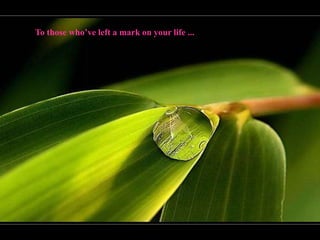 To those who’ve left a mark on your life ...
 