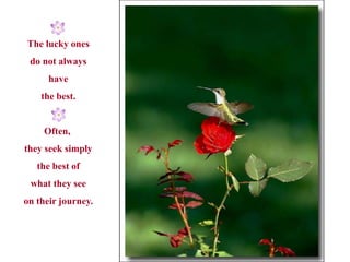 The lucky ones
 do not always
      have
    the best.


    Often,
they seek simply
   the best of
 what they see
on their journey.
 
