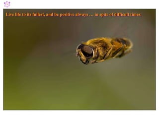 Live life to its fullest, and be positive always … in spite of difficult times.
 