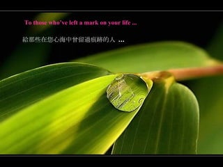 To those who’ve left a mark on your life ... 給那些在您心海中曾留過痕跡的人  ... 