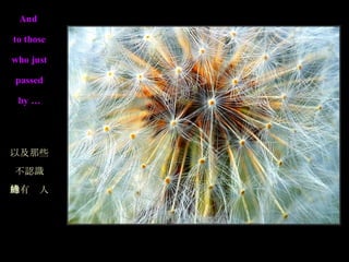 And  to those who just passed by … 以及那些 不認識 的有緣人 